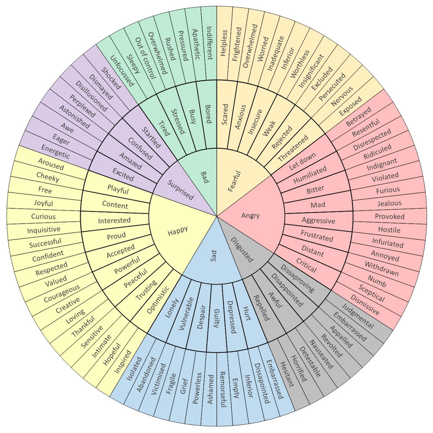 The Wheel of Emotional Options by Ringba